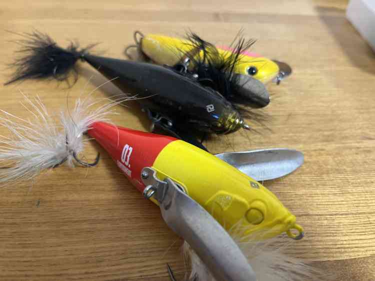 ルアーの種類と使い分け！釣り初心者が知っておくべきルアーの基本を 