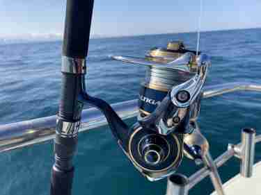 20 ソルティガ 8000-P