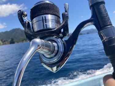 21セルテートSW 8000Pのアップ画像