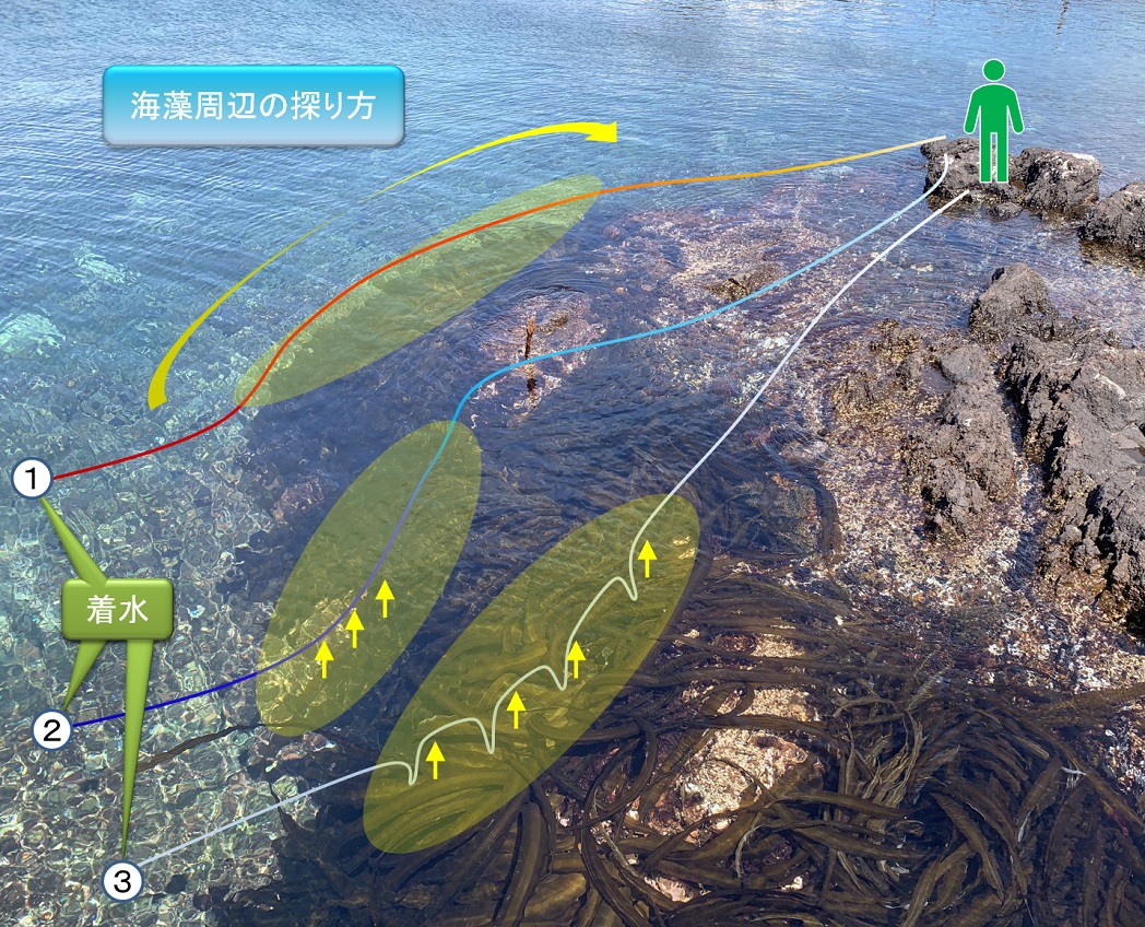 アイナメ釣りの最強ワームは 水振動 で決まる 釣り場から考える選定方法を解説