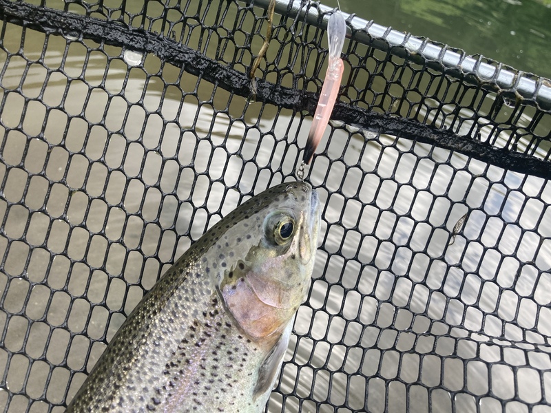 エリアトラウトにpeラインはマストな存在 Peラインの使いどころとおすすめpeライン3選 エリアトラウトにpeラインはマストな存在 Peラインの使いどころとおすすめpeライン3選