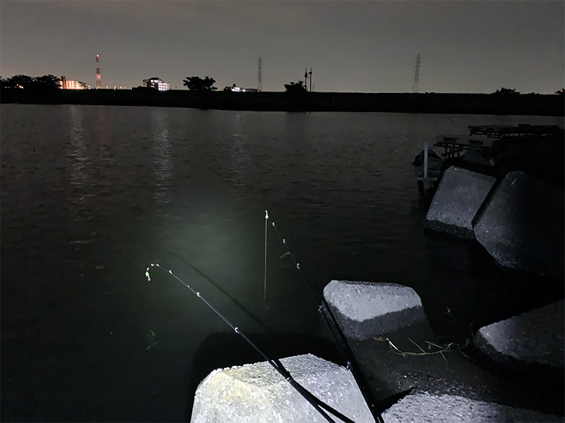 東京 埼玉の荒川うなぎ釣りは こんなポイントを探せば釣れる