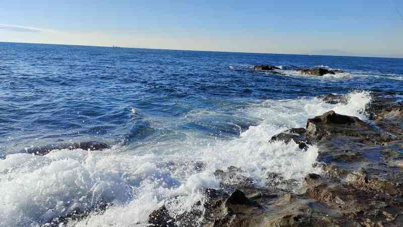 江ノ島表磯は石物ぶっ込み釣りの隠れた名所