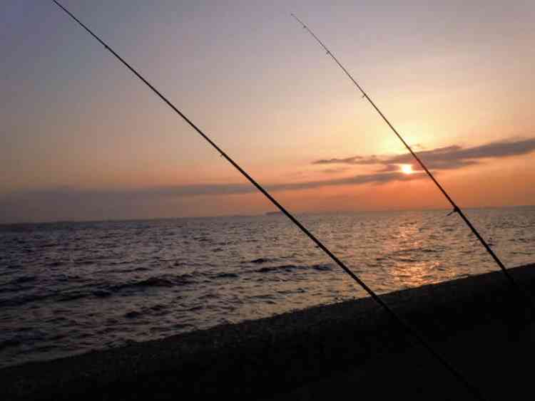 福浦岸壁からのロングキャストカレイ釣り
