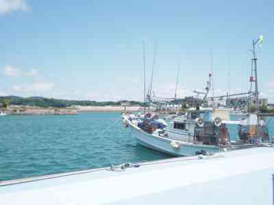 壱岐島の漁港に停泊している漁船