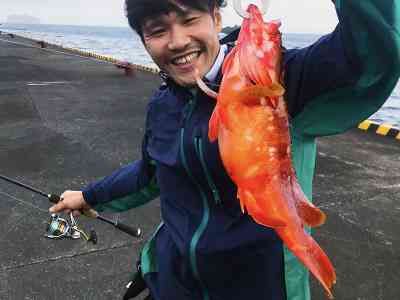 伊豆大島で釣り上げた良型のアカハタ