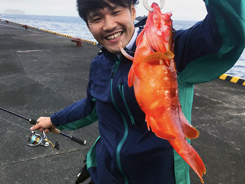 伊豆大島 式根島でアカハタ釣り ジグヘッドとワームで釣る美味な根魚 サメの目撃動画も