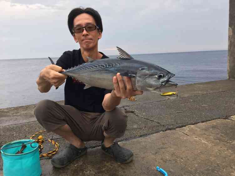 伊豆大島でショアジギングで釣りあげたスマガツオ