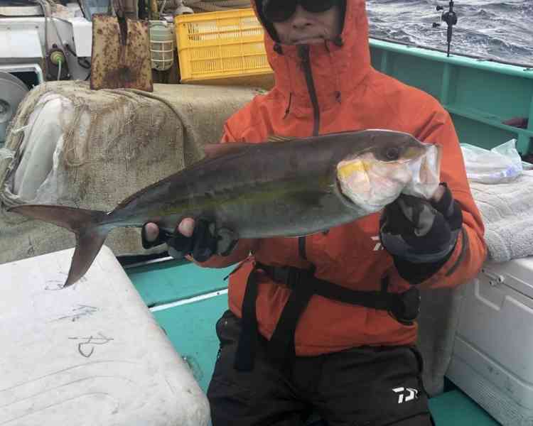 伊豆大島の釣り船に乗船して釣り上げたカンパチ
