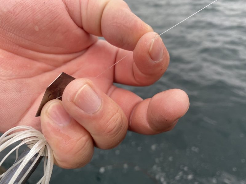 バス釣りでのスピニングタックルに最適なラインは スピニングでの釣りを最大限活かすライン選び