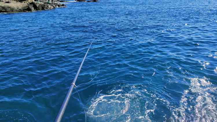 フカセ釣りはラインをピンと張っていることが少ない