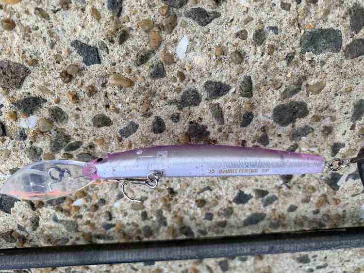 小値賀島のカマス釣り名人がカマスのルアー釣りに使っていたダブルクラッチ60SP、カラーはピンク