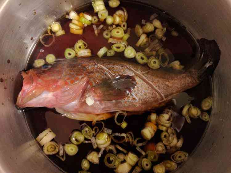 キジハタはアコウとも呼ばれる超高級魚。どう料理しても絶品。大型個体は刺身や鍋料理に、小型のものは煮魚がおすすめ。