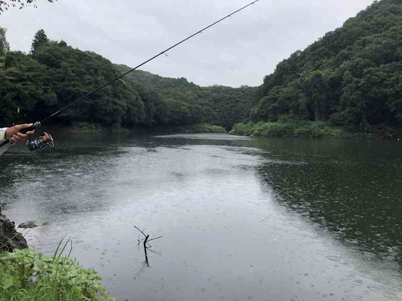 春に雨が降っているダムの様子