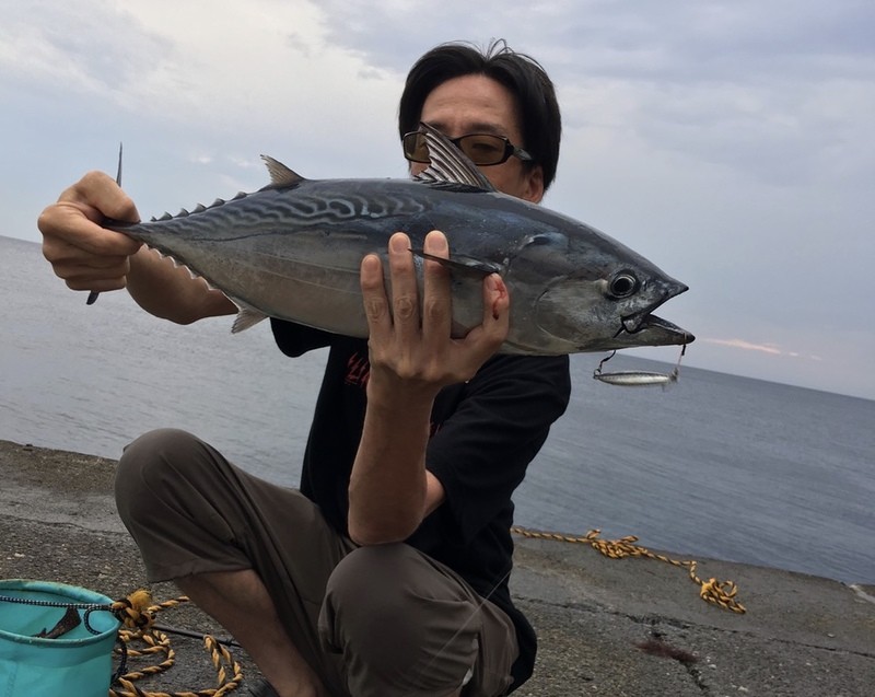伊豆大島でショアジギングデビューしたら堤防からカンパチやカツオが釣れた