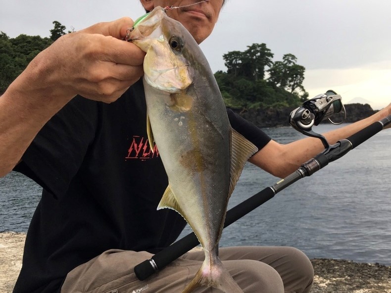 伊豆大島でショアジギングデビューしたら堤防からカンパチやカツオが釣れた