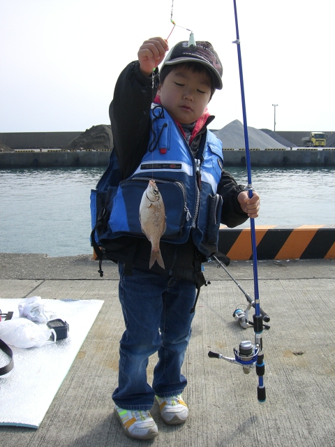 幼稚園児の息子が生まれて初めての釣りで釣った魚はウミタナゴでした。大磯港での思い出。