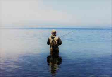 ウェーダー