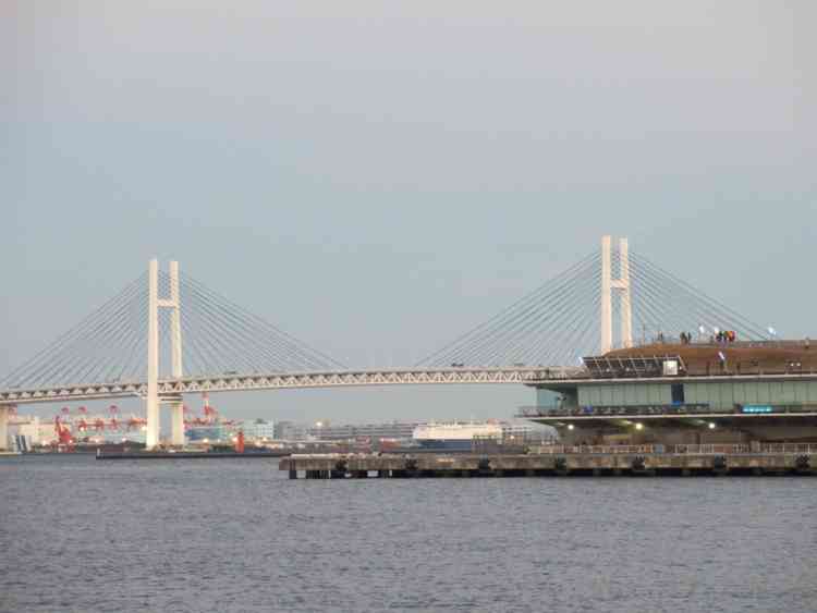横浜港周辺はシーバス釣りの人気スポット。船舶の出入りが頻繁にあるため最新の注意が必要。